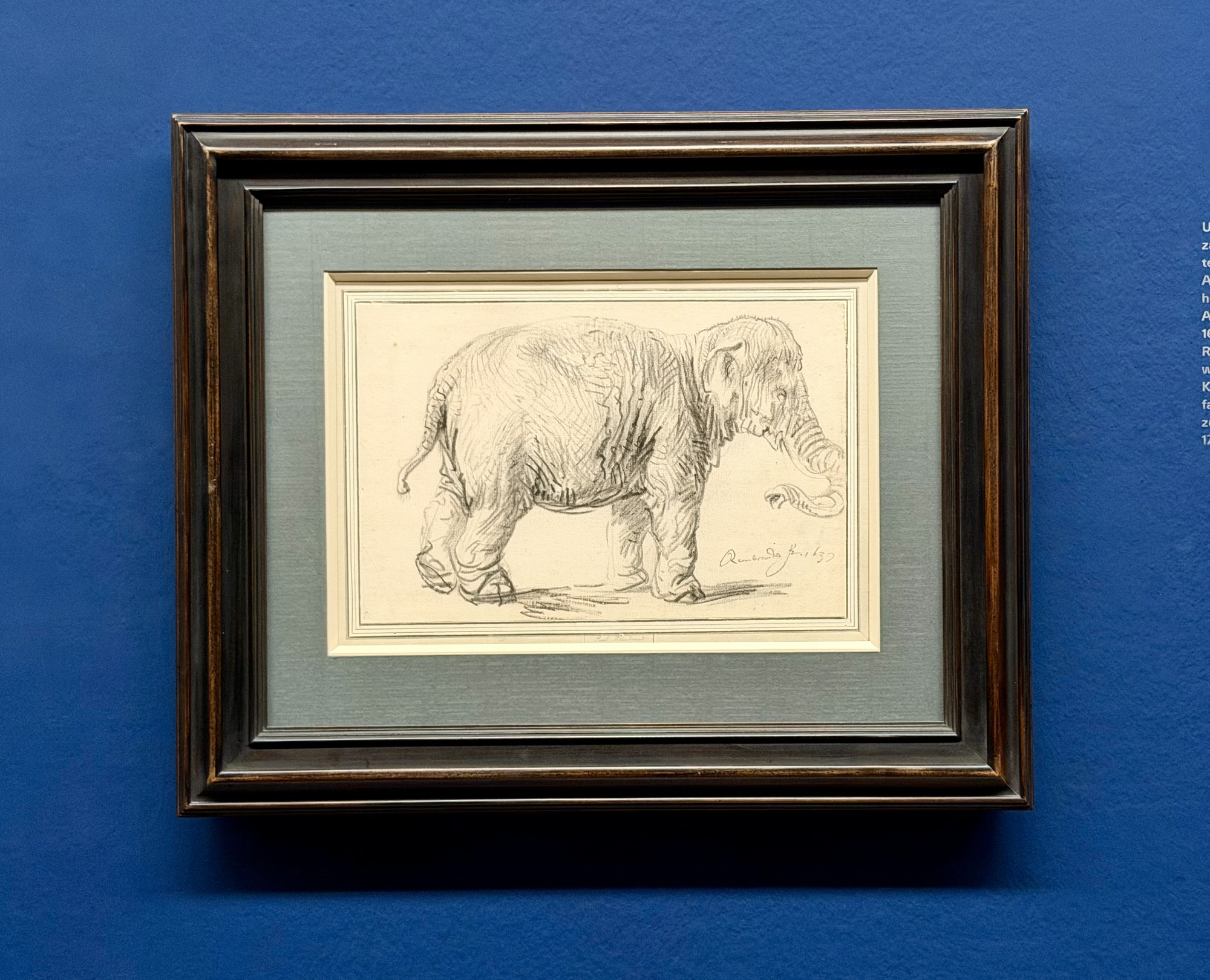 Ein Elefant (Rembrandt)